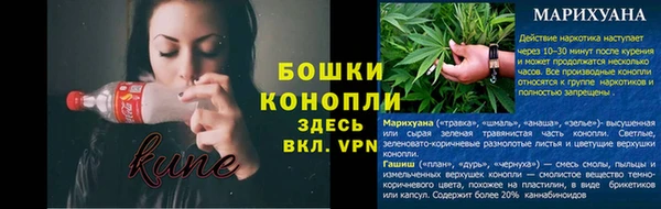 сатива Баксан