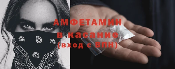 сатива Баксан