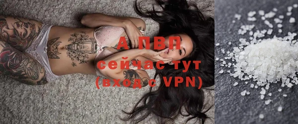 сатива Баксан