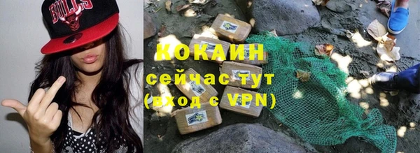 сатива Баксан