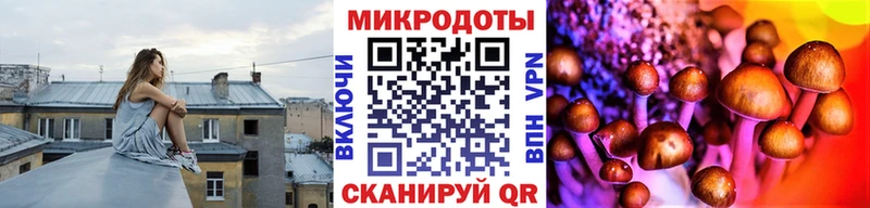 ссылка на мегу даркнет наркотические препараты Галлюциногенные грибы GOLDEN TEACHER Гатчина