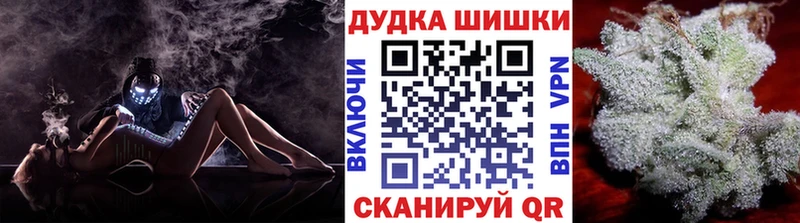 где купить наркотик  Гатчина  Шишки марихуана сатива 